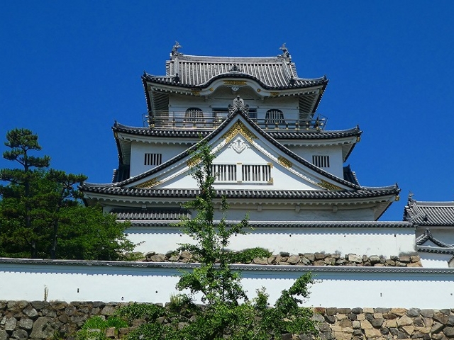 岸和田市・岸和田城_岸和田城
