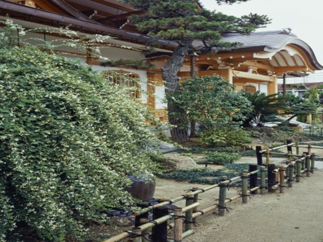 東光院 萩の寺
