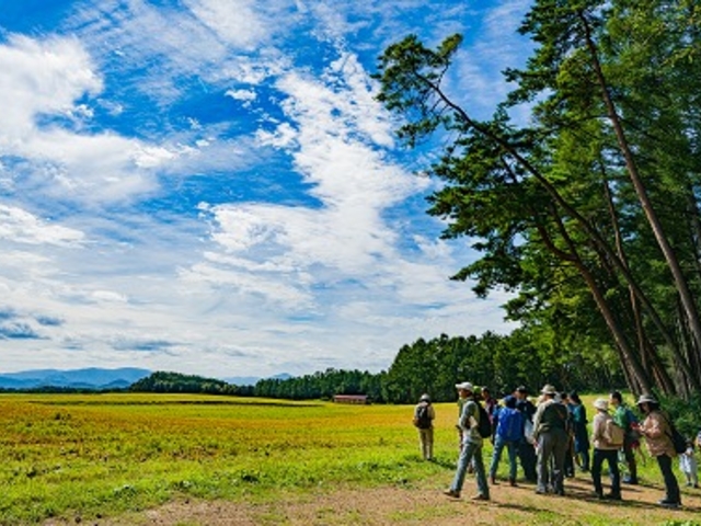 小岩井農場まきば園